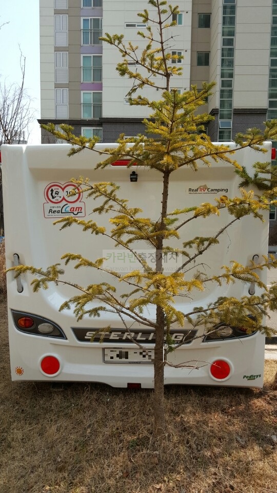 c1dbd8f5f4de7aab29803ec473910975.jpg